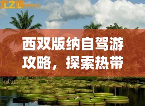 西双版纳自驾游攻略，探索热带雨林，尽享异域风情
