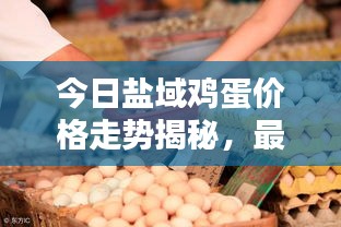 今日盐域鸡蛋价格走势揭秘，最新动态与行情分析