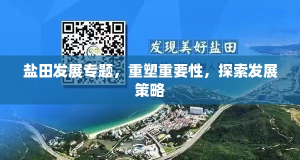 盐田发展专题，重塑重要性，探索发展策略