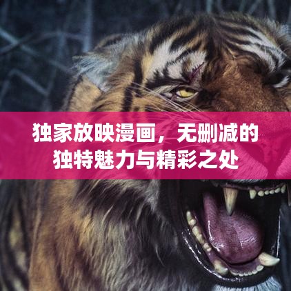独家放映漫画，无删减的独特魅力与精彩之处