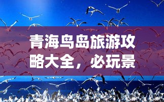 青海鸟岛旅游攻略大全，必玩景点、住宿美食一网打尽！