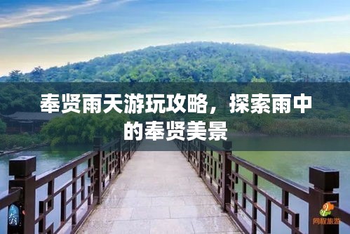 奉贤雨天游玩攻略，探索雨中的奉贤美景