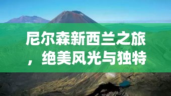 倦鸟知还