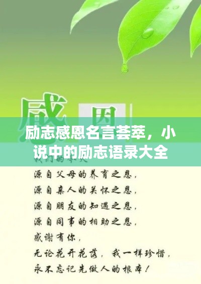 励志感恩名言荟萃，小说中的励志语录大全