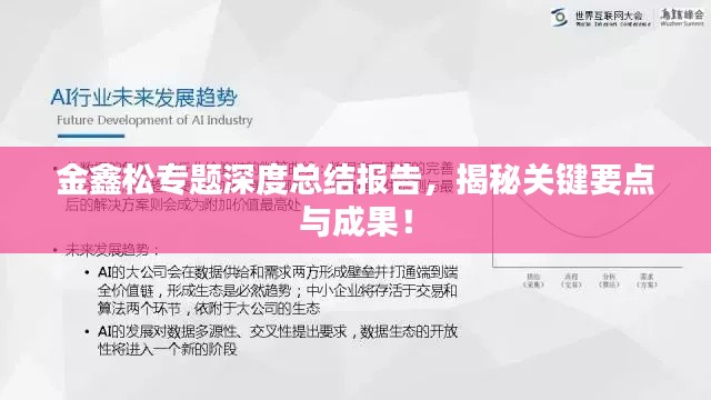 金鑫松专题深度总结报告，揭秘关键要点与成果！