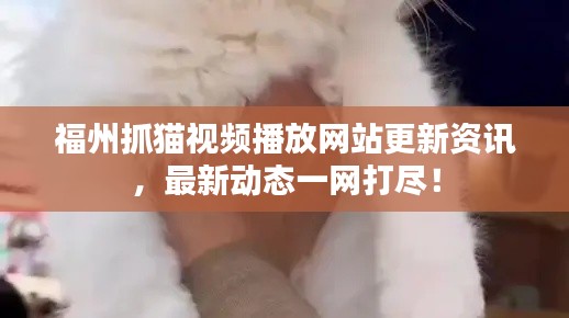 福州抓猫视频播放网站更新资讯，最新动态一网打尽！