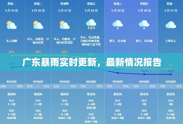 广东暴雨实时更新，最新情况报告