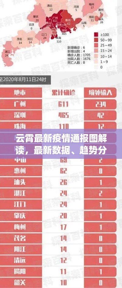 云霄最新疫情通报图解读，最新数据、趋势分析一网打尽！