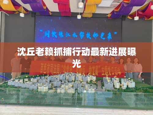 沈丘老赖抓捕行动最新进展曝光