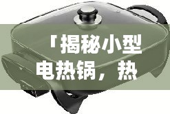 「揭秘小型电热锅，热门家居小电器，带你体验便捷烹饪新境界」