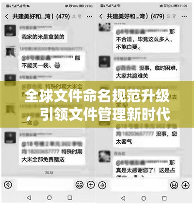 全球文件命名规范升级，引领文件管理新时代
