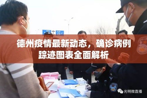 德州疫情最新动态，确诊病例踪迹图表全面解析