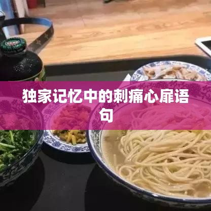 独家记忆中的刺痛心扉语句