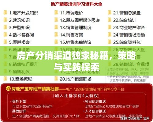 房产分销渠道独家秘籍，策略与实践探索