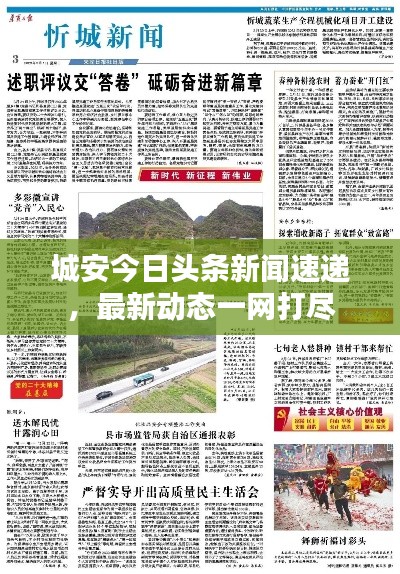 城安今日头条新闻速递，最新动态一网打尽