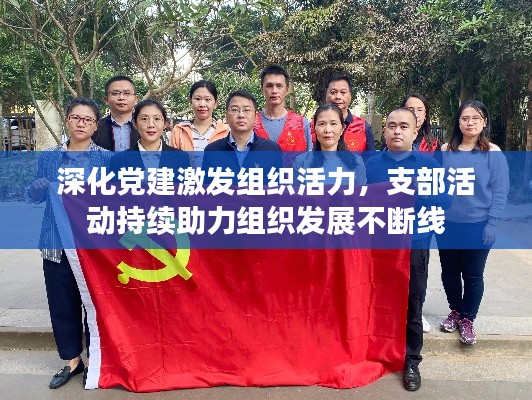 深化党建激发组织活力，支部活动持续助力组织发展不断线