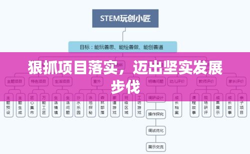 狠抓项目落实，迈出坚实发展步伐