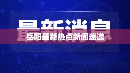 岳阳最新热点新闻速递