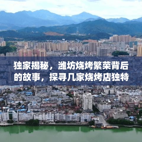 独家揭秘，潍坊烧烤繁荣背后的故事，探寻几家烧烤店独特风味