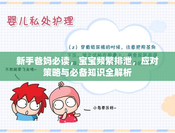 新手爸妈必读，宝宝频繁排泄，应对策略与必备知识全解析