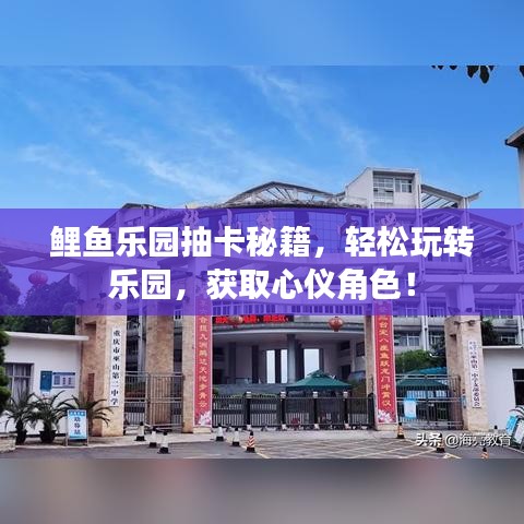 关于我们 第14页