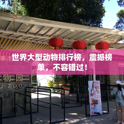 世界大型动物排行榜，震撼榜单，不容错过！