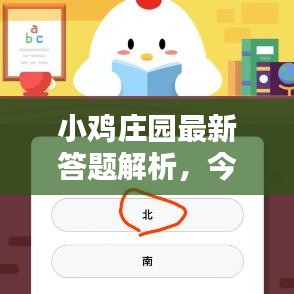 小鸡庄园最新答题解析，今日答题答案及解析一网打尽