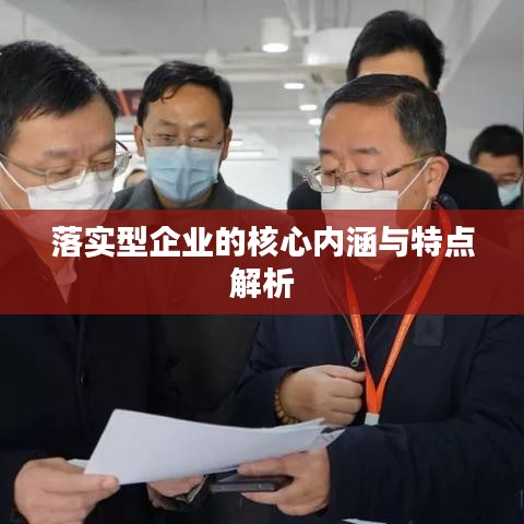 落实型企业的核心内涵与特点解析