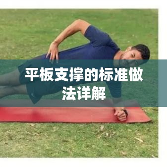 平板支撑的标准做法详解