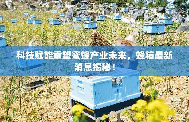 科技赋能重塑蜜蜂产业未来，蜂箱最新消息揭秘！