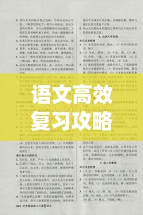 语文高效复习攻略，策略、方法与技巧全解析