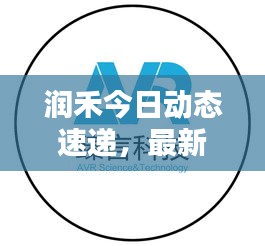润禾今日动态速递，最新消息一网打尽！