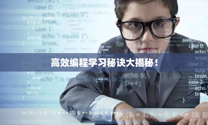 高效编程学习秘诀大揭秘！