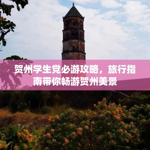 工单管理 第10页
