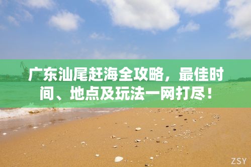广东汕尾赶海全攻略，最佳时间、地点及玩法一网打尽！