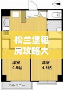 松兰堡租房攻略大全，最新指南助你轻松找到心仪房源！
