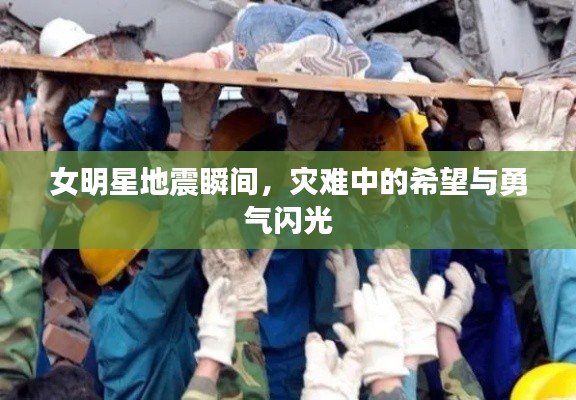 采椽不斫