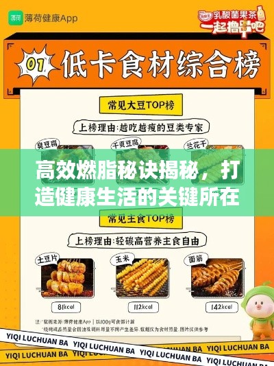 高效燃脂秘诀揭秘，打造健康生活的关键所在——最新2021燃脂指南