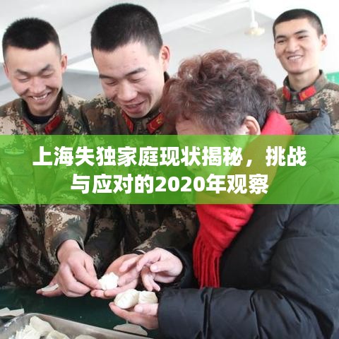 上海失独家庭现状揭秘，挑战与应对的2020年观察