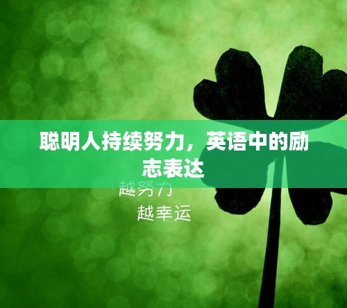 聪明人持续努力，英语中的励志表达