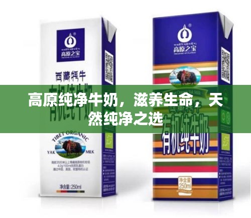高原纯净牛奶，滋养生命，天然纯净之选