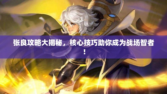 张良攻略大揭秘，核心技巧助你成为战场智者！