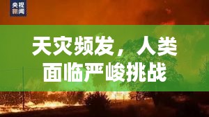 关于我们 第9页