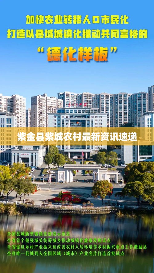 紫金县紫城农村最新资讯速递