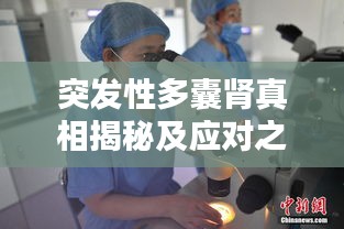 资格证书 第9页
