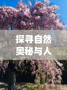 探寻自然奥秘与人文情怀交融之美，草木人间的奇妙之旅