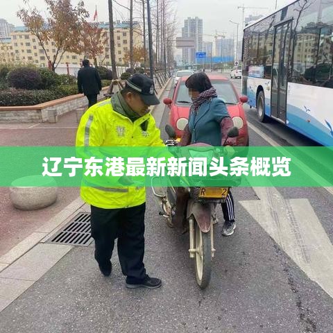 辽宁东港最新新闻头条概览