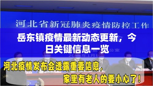关于我们 第8页