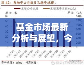 基金市场最新分析与展望，今日是否将迎来大涨？