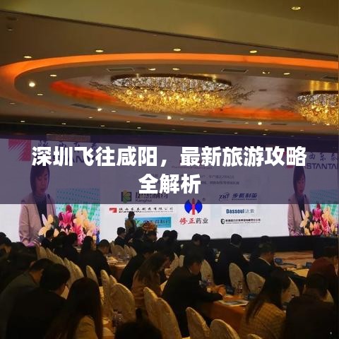 工单管理 第8页